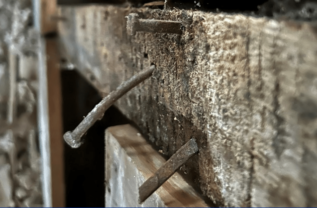 View of several flat rectangular-head machine-cut iron nails.
